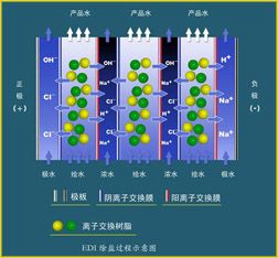 電去離子（EDI）系統概述