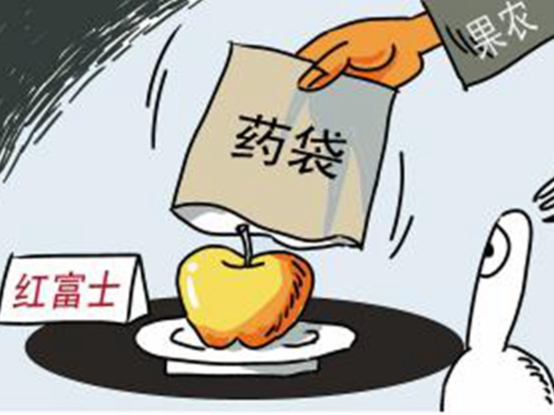 山東農業(yè)廳稱“蘋果藥袋”及時整改就無害