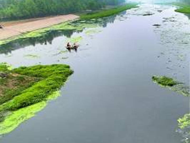 鄭州市賈魯河水遭受比較嚴重環境污染，每天近二十噸污水排進
