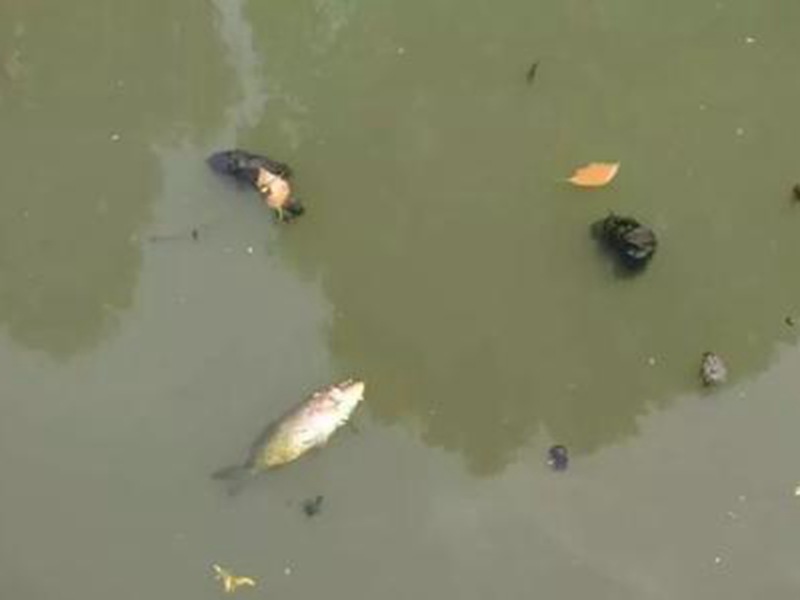 太原重點(diǎn)整治臭水河