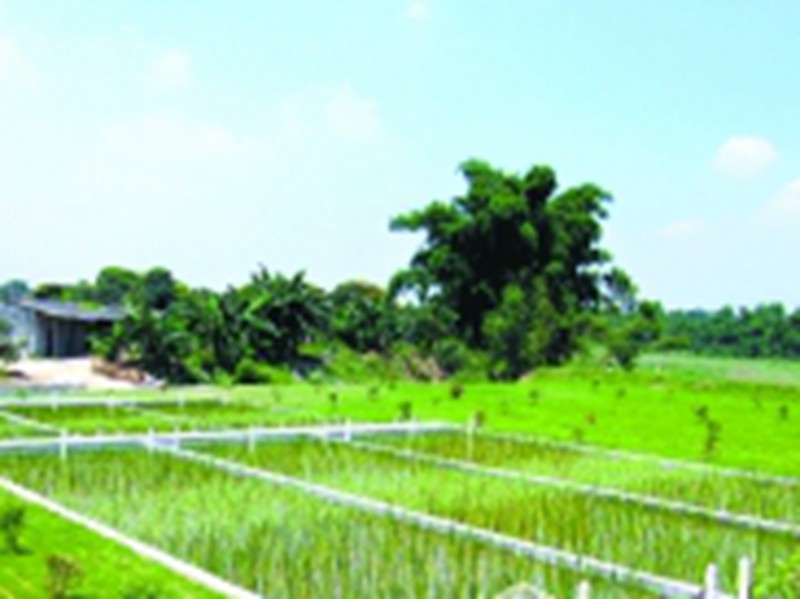 在我國(guó)已創(chuàng)建國(guó)家濕地公園試點(diǎn)213處