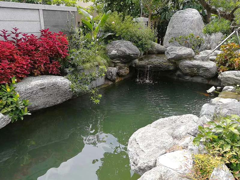 庭院魚池水處理設備一體機多少錢？
