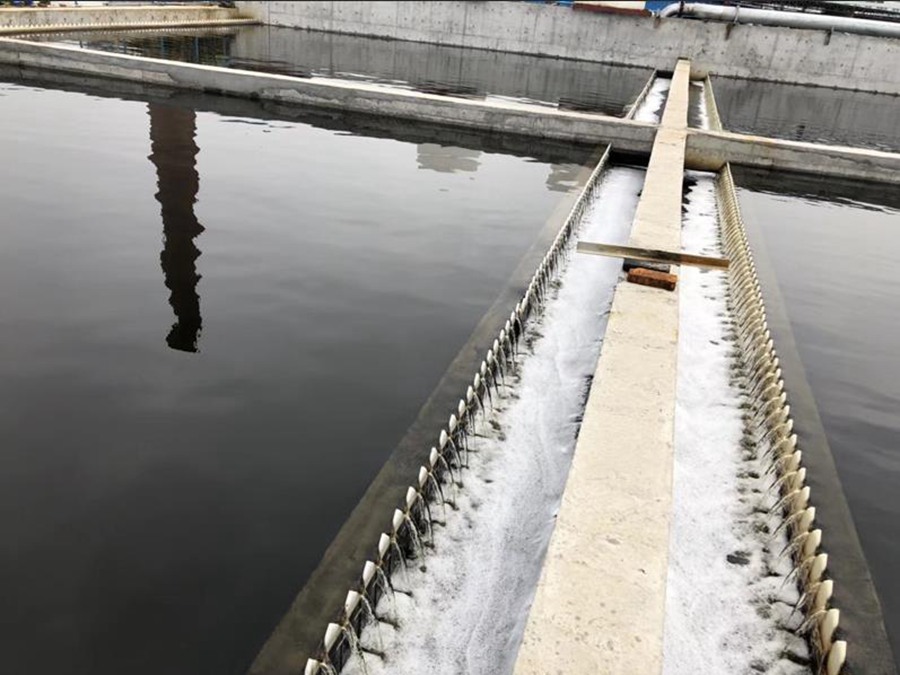 重金屬?gòu)U水處理中好氧顆粒污泥的作用是什么？好氧顆粒污泥去除重金屬機(jī)理